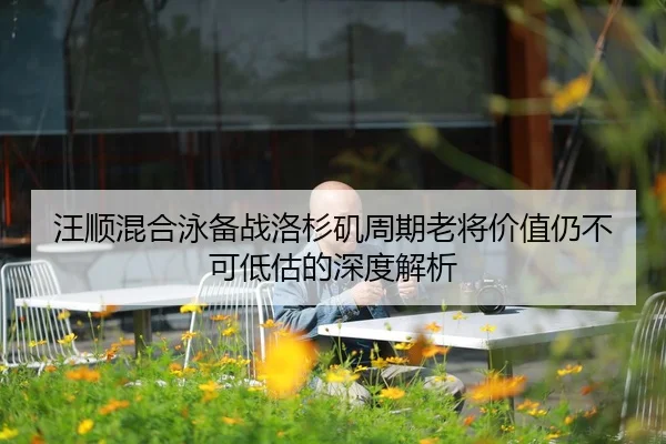 wang-shun-hun-he-yong-bei-zhan-luo-shan-ji-zhou-qi-lao-jiang-jia-zhi-reng-bu-ke-di-gu-de-shen-du-jie-xi-2-649.jpg