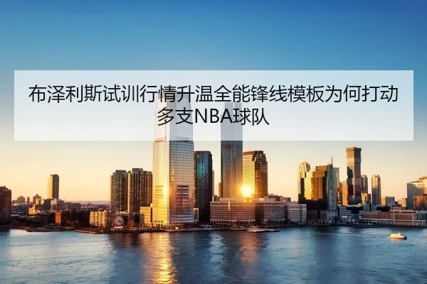 布泽利斯试训行情升温全能锋线模板为何打动多支NBA球队