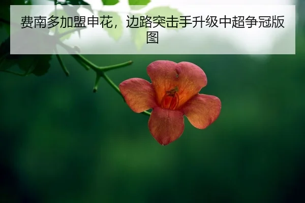fei-nan-duo-jia-meng-shen-hua-bian-lu-tu-ji-shou-sheng-ji-zhong-chao-zheng-guan-ban-tu-2-550.jpg