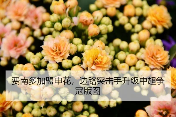 费南多加盟申花，边路突击手升级中超争冠版图